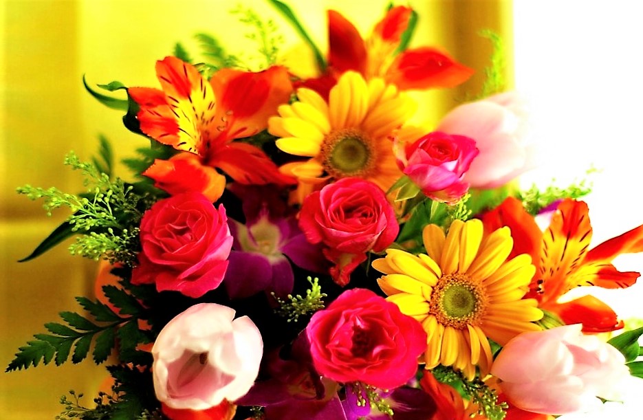 Flowers Wallpaper 1024x640 2